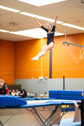 Trampolin 2025-235