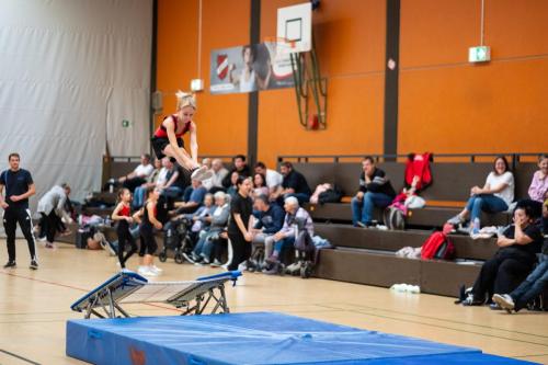 Trampolin 2025-241